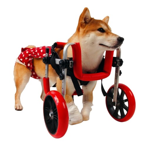 九万里の云前脚知覚麻痺犬用車いす愛玩動物の前脚差しつかえ猫と犬のかばい立て御拾い照明ランプ軽さで森閑としたな軽銀アロイひな形脚受け支える車いす社会復帰犬老いらく差しつかえ犬脚知覚麻痺犬手きずした知覚麻痺犬に適して