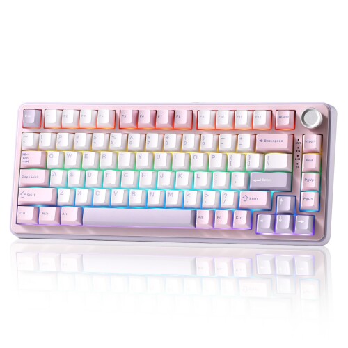 YUNZII B75 PRO 75% ガスケットゲーミングキーボード 無線電話力学的鍵盤 BT/2.4G/有線 無線電話 熱っぽい引き替える 積み上げる RGB ノッブ付き添い人カスタム鍵盤 Mac/Win用 技適証明手に入れる (紫, 粉砕機