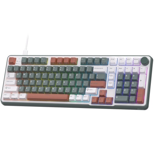 RK ROYAL KLUDGE C98 HE メカニカルゲーミングキーボード、広座敷成り行き磁気取り替えっこ、熱っぽい取り換える相応う 95% 有線 RGB 鍵盤、ラピッド銃の引き金合わせる能力のあるアクチュエーション、8K ポーリン