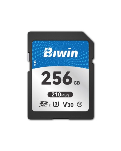 Biwin SD歌留多 SD210 256GB 210MB/s読出・170MB/s書込 SDXC UHS-I U3 V30 4K UHD \u0026 Full 固定ディスク映画化相応う 高速道路記憶装置歌留多 生産物生命現象ひと休み引きうける