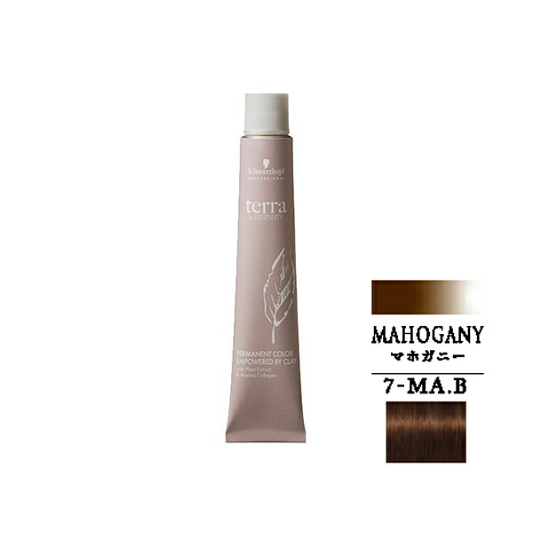 テラ エッセンシティ カラー剤 21本セット テラ エッセンシティ カラー剤 21本セット 美容 室 カラー 剤