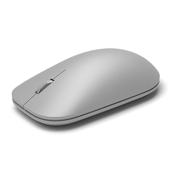Surface 二十日鼠