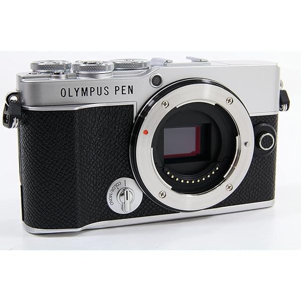 OLYMPUS PEN E-P7 上半身 しろがね色
