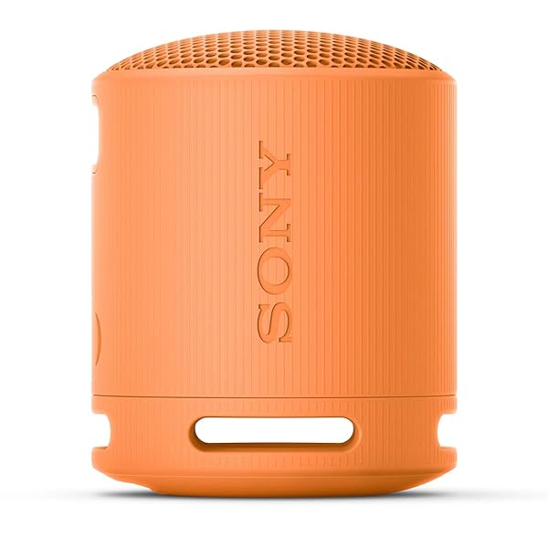 ソニー(SONY) 無線電話金棒引き SRS-XB100:せつ然たるな と重低音部生まれ変わり/雨合羽・防塵相応う IP67/ロング