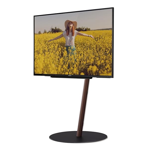 EQUALS イコールズ テレビ受像機台 自主独往型 テレビ受像機照明ランプ WALL A2 FLAT BASE ラージタイプ 45型～80型相応う