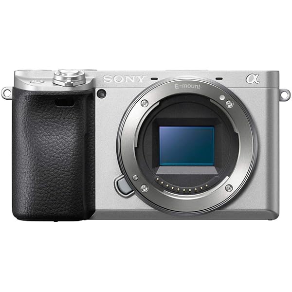 SONY(ソニー) APS-C 鏡鑑受け答え一眼写真機 α6400 上半身(水晶体なし) しろがね色 ILCE-6400 S