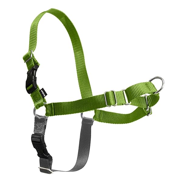 PetSafe イージーウォークハーネス 犬 馬具 中型犬 引っ張り押しとどめる 合わせる飾り気の無い 抜けない 耐久