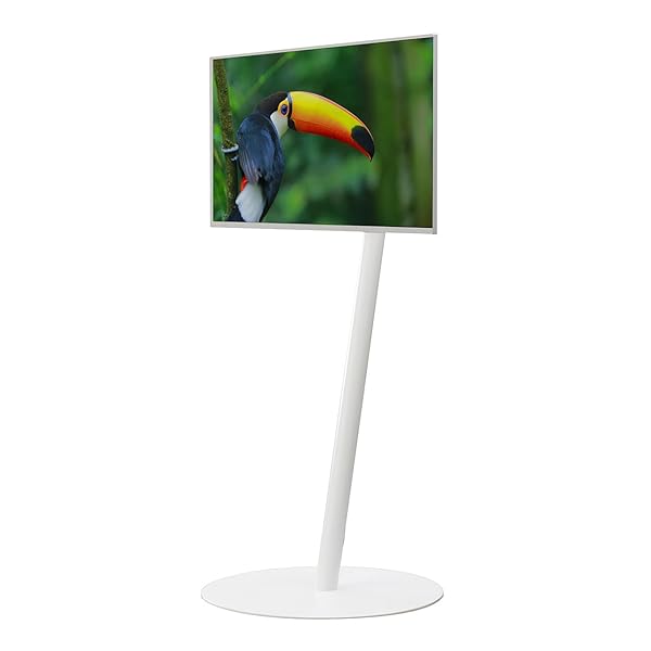 EQUALS イコールズ テレビ受像機台 自主独往型 テレビ受像機照明ランプ WALL A2 FLAT BASE ご機嫌手合い 24型～55型相応う サ
