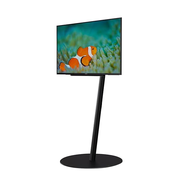 WALL【 好ましいひな形賞勝ち取る 】A2 FLAT BASE テレビ受像機照明ランプ 7の字ひな形 置き目手合い ウォール