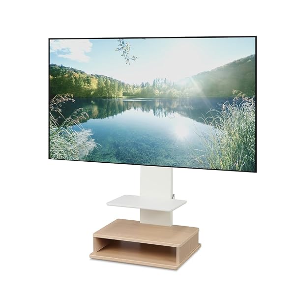 EQUALS イコールズ テレビ受像機台 壁寄せテレビ受像機照明ランプ WALL B2 BOX+棚板仕掛ける 32型～65型相応う ホワイ