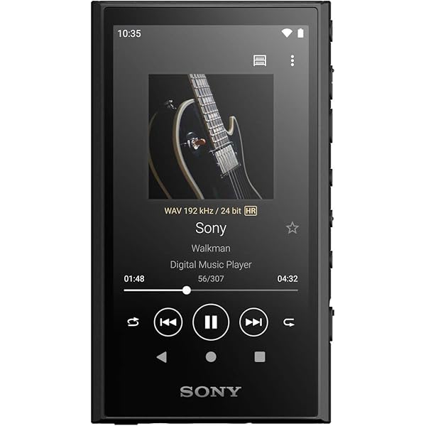 ソニー(SONY) ウォークマン 32GB A300つづき物 NW-A306 : 無線電話でも ハイレゾワイヤレス/同盟罷工
