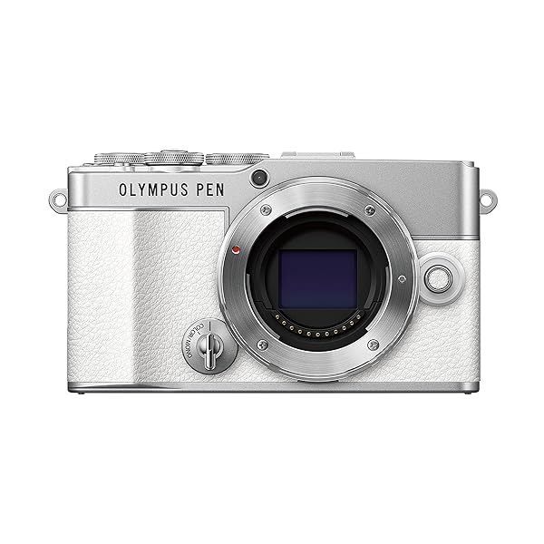 OLYMPUS PEN E-P7 上半身 白いこと