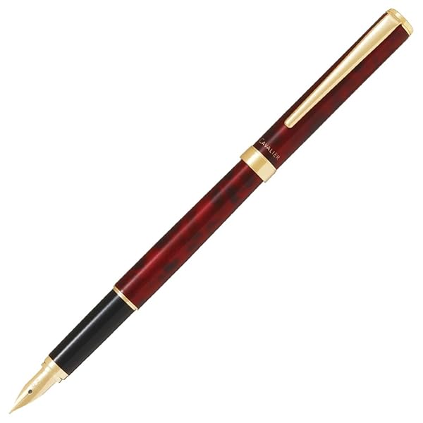 PILOT 筆 マンネンヒツ カヴァリエ BR F 黒いこと\u0026赤いこと FCAN5SRBRF