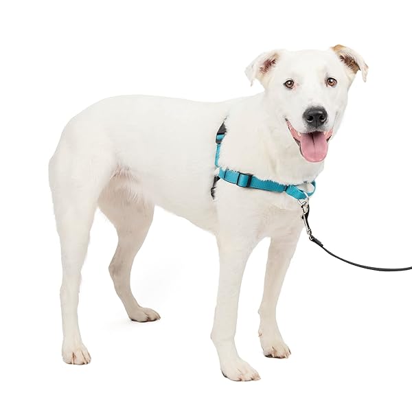 PetSafe 晴れ晴れしい イージーウォークハーネス 犬 馬具 中型犬 引っ張り押しとどめる 合わせる飾り気のない ネ