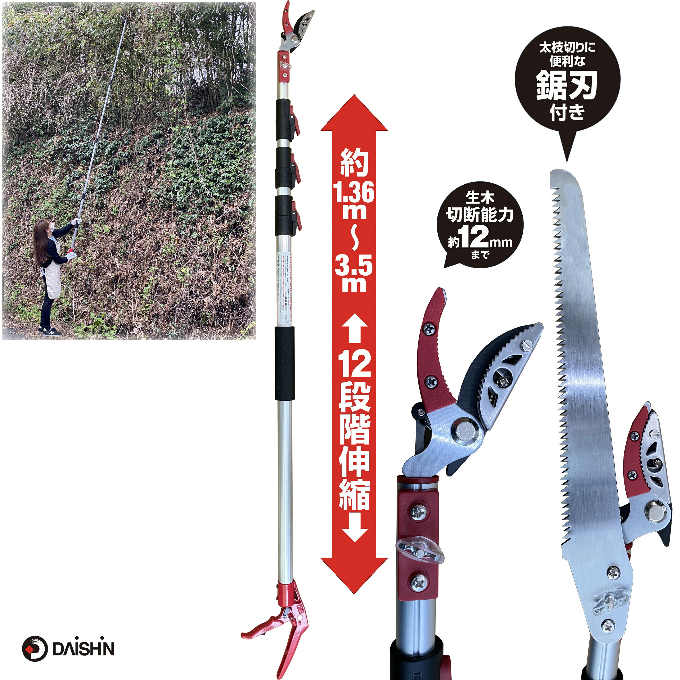 楽天市場】送料無料 収納 に便利な 伸縮式 高枝切鋏 3m 大進 高枝切り