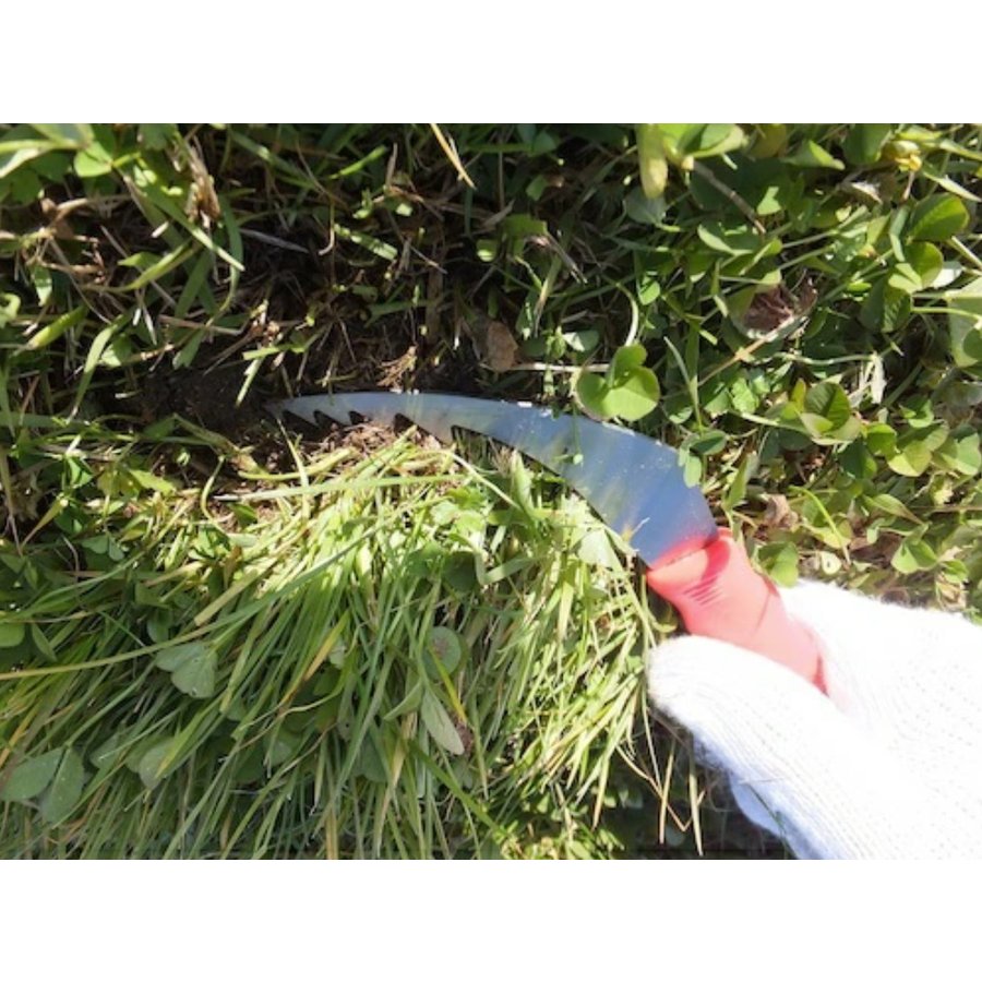 ランキング総合1位 フィットグリップ雑草取り 大進 園芸 ガーデニング 農業 女性 庭 農作業 家庭菜園 用具 工具 Homologacao Mascotinn Com Br ランキング総合1位 フィットグリップ雑草取り 大進 園芸 ガーデニング 農業 女性 庭 農作業 家庭菜園 用具 工具 Homologacao Mascotinn Com Br
