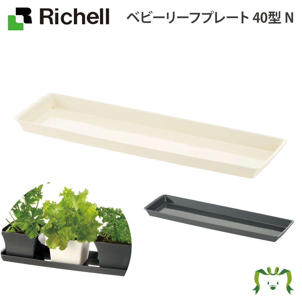 ベイビーリーフ わーふぁ ベビーリーフ 40g（わーふぁ道本）の口コミ・レビュー・評判