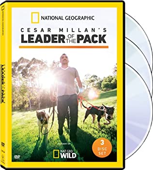 【中古】Cesar Millan: Leader of the Pack [DVD] [Import]