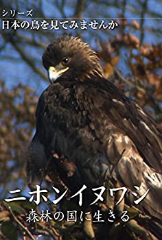 中古 続きもの日本の長鳴鳥を視点てみ早熟んか ニホンイヌワシ 林地の国に食う Dvd Tveskimo Com