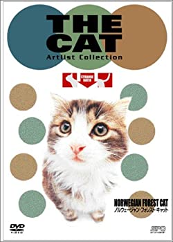 激安人気新品 中古 The Dvd ノルウェージャン フォレスト キャット Cat アニメ