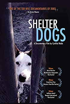 100 品質保証 Tvアニメ Import Dvd Dogs 中古 Shelter Www Wbnt Com