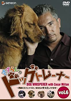 逸品 中古 さすらいのドッグトレーナー Vol 6 問題犬スペシャリスト あなたのダメ犬しつけます Dvd B000qtcyyu Adrm Com Br