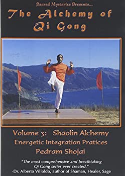 【中古】Alchemy of Qi Gong 3: Sholin Alchemy - Energetic [DVD] [Import]｜Come to Store