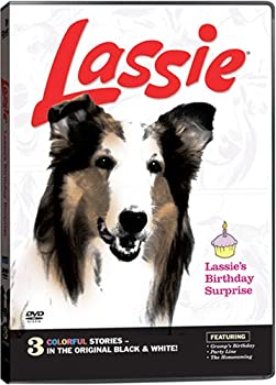【中古】Lassies Birthday Surprise [DVD] [Import]｜Come to Store