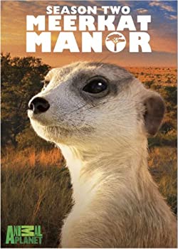 【中古】Meerkat Manor: Season 2 [DVD] [Import]