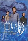 【中古】DVD白い影(4)