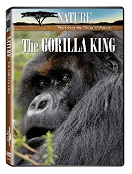 年中無休 Gorilla The 中古 Nature King Import Dvd Dvd B001cfqo98