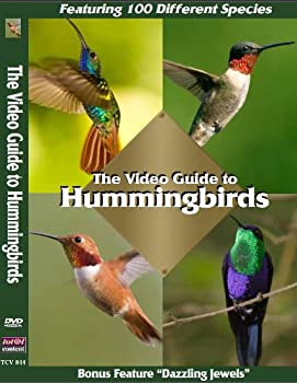 【中古】Video Guide to Hummingbirds [DVD] [Import]｜Come to Store
