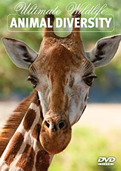 超歓迎 Tvアニメ 中古 Animal Import Dvd Diversity Valentinocoaching Com