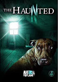 【中古】Haunted: Season 1 [DVD] [Import]｜Come to Store