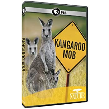 【中古】Nature: Kangaroo Mob [DVD] [Import]｜Come to Store