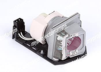【中古】用映写機 照明ランプ オプトマ SP.8FB01GC01 BL-FP280D