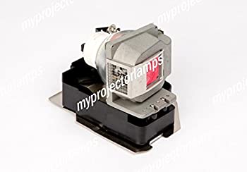 【中古】Mitsubishi 三菱電機 映写機 対適用業務照明ランプ : VLT-XD520LP