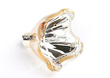 【中古】用映写機 弁膜 バルコ R9841822