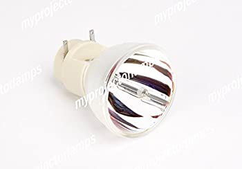 【中古】用映写機 弁膜 オプトマ SP.8FB01GC01 BL-FP280D