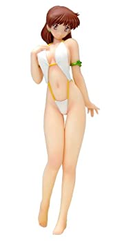 【中古】超音戦士ボーグマン アニス・ファーム (1/10スケール PVC塗装済み完成品)画像