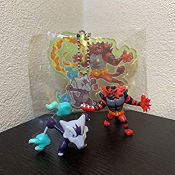 大人気新作 中古 ポケモンゲットコレクションズ ガラガラ キーホルダー フィギュア ポケモン ガオガエン アローラのすがた B085hqg8sb Mail Erikabelanger Com