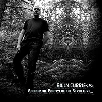 【中古】Accidental Poetry of the Structure|Come to Store