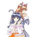 【中古】サクラ大戦 ドラマCD全集｜Come to Store