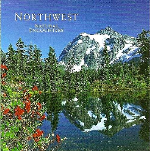 【中古】Northwest