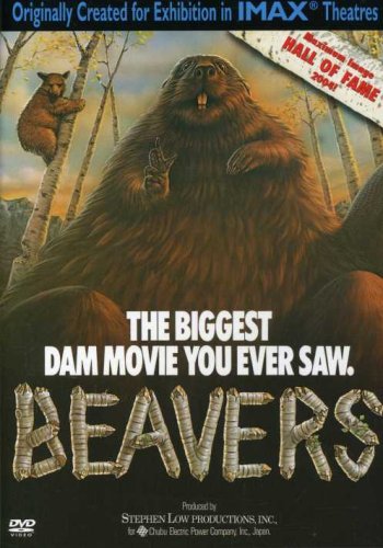 【中古】Beavers [DVD]｜Come to Store