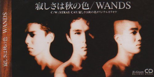 【中古】寂しさは秋の色|Come to Store