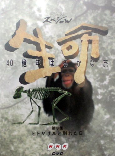 【中古】NHKスペシャル 生命40億年はるかな旅 第8集:ヒトがサルと別れた日 [DVD]｜Come to Store