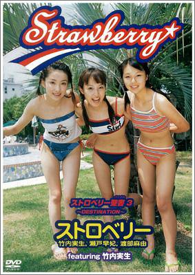 【中古】ストロベリー聖書(バイブル)3 ~DESTINATION~ [DVD]｜Come to Store