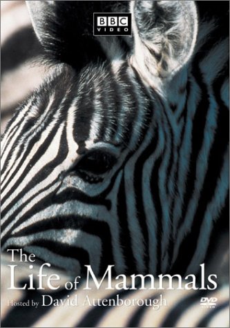 【中古】Life of Mammals 1 [DVD]｜Come to Store