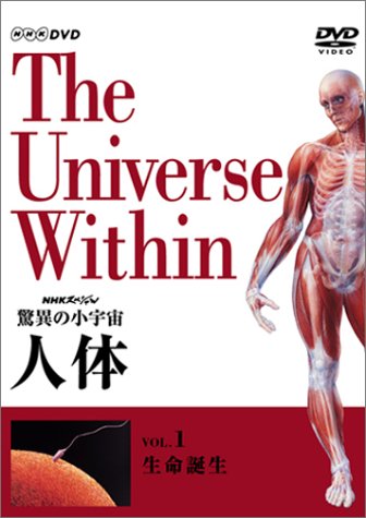 【中古】NHKスペシャル 驚異の小宇宙 人体 Vol.1「生命誕生」 [DVD]